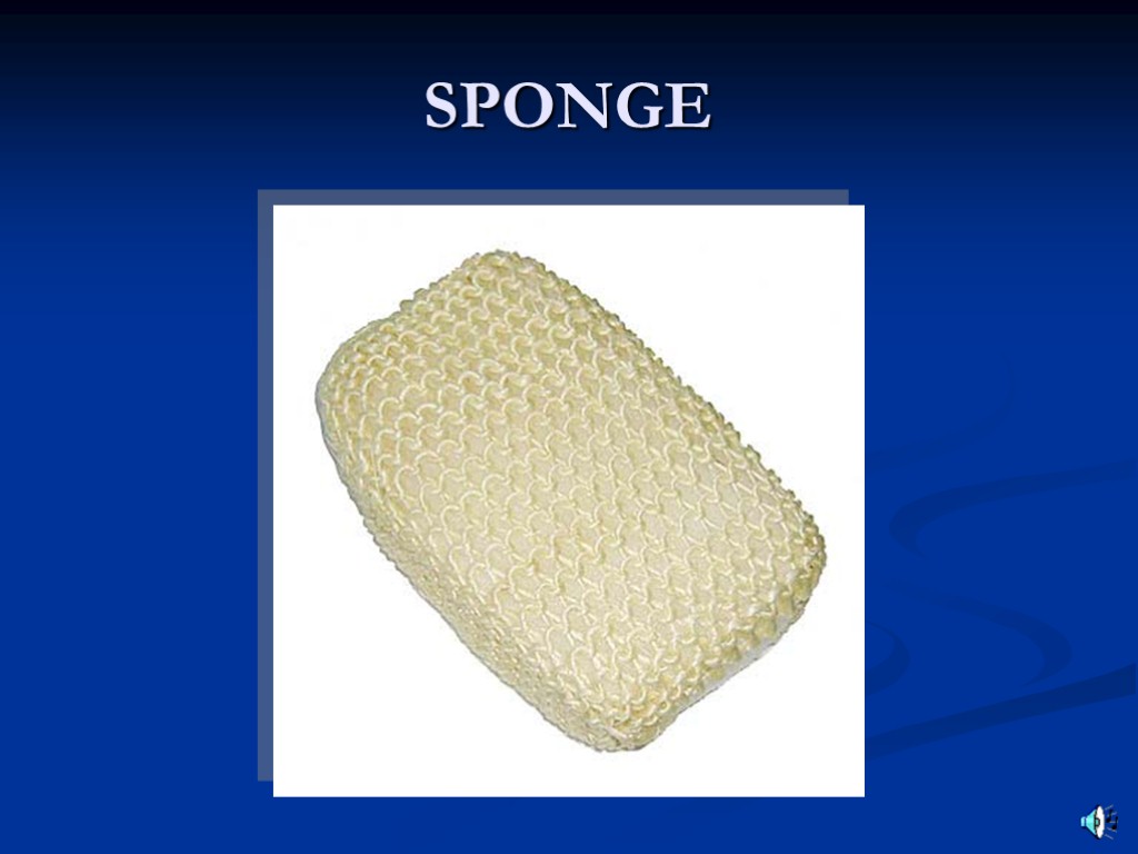 SPONGE